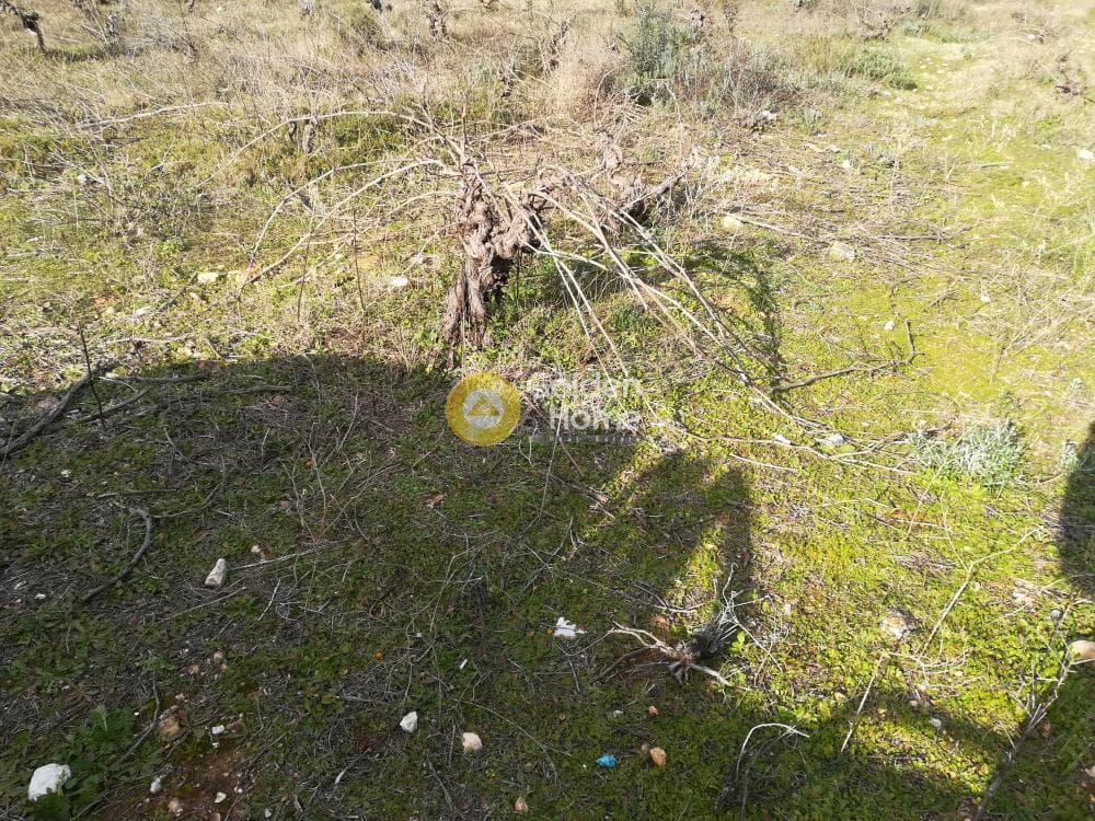 Building Plot in Center, Koropi — Photo 4 of 6