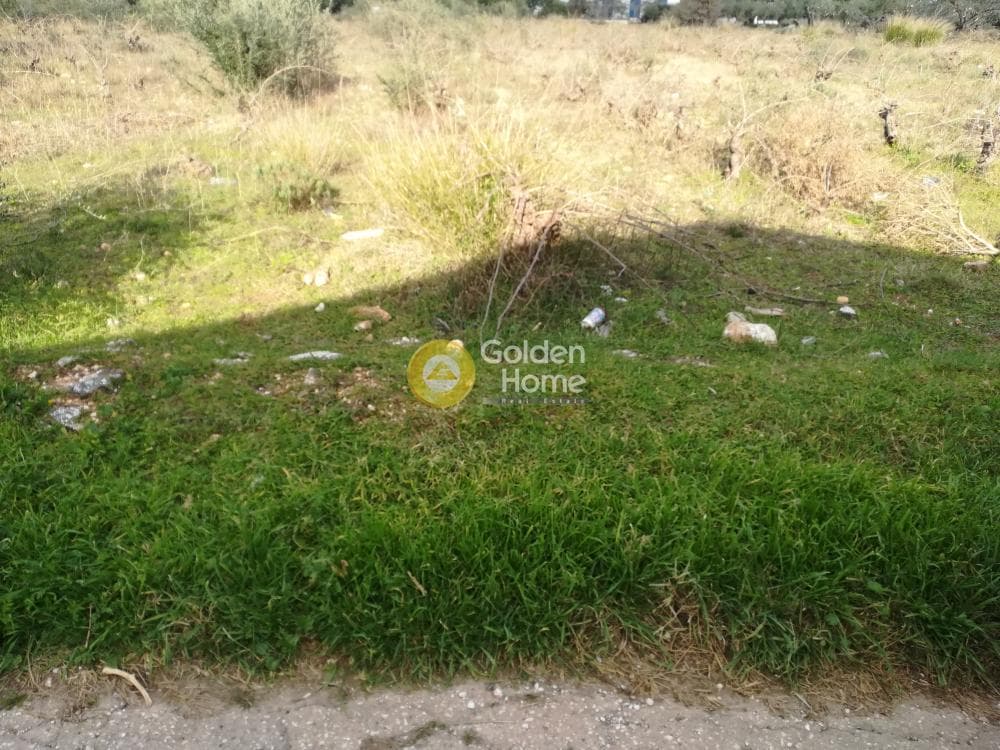 Building Plot in Center, Koropi — Photo 5 of 6