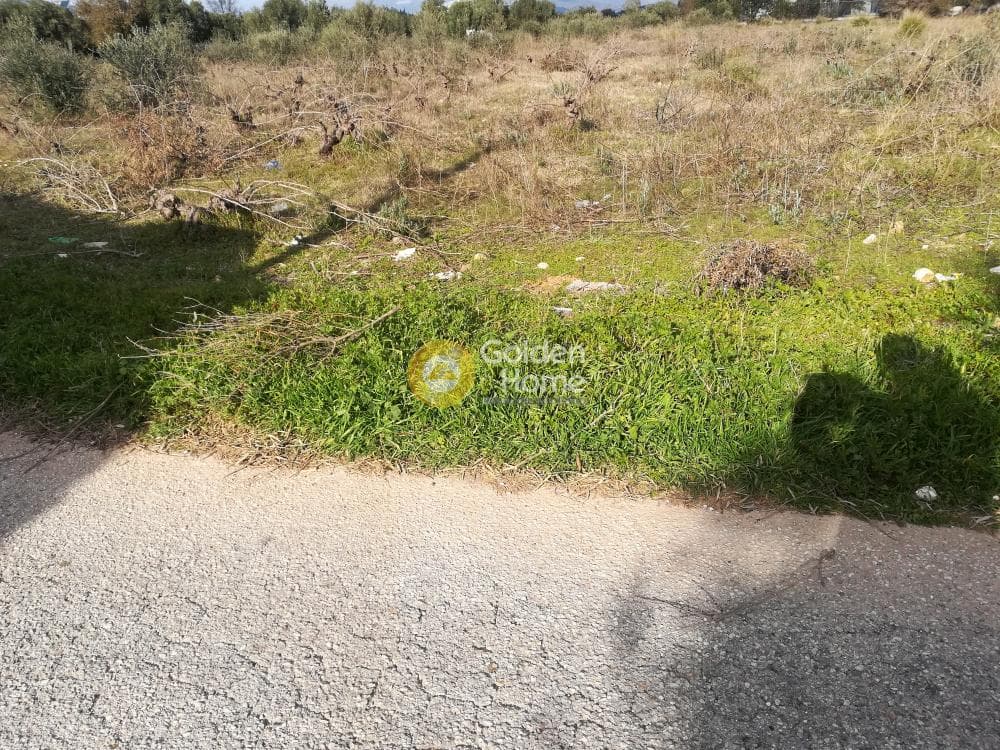 Building Plot in Center, Koropi — Photo 6 of 6
