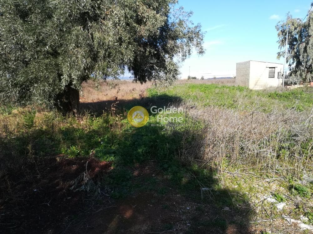 Building Plot in Varis Koropiou Avenue, Koropi — Photo 3 of 10