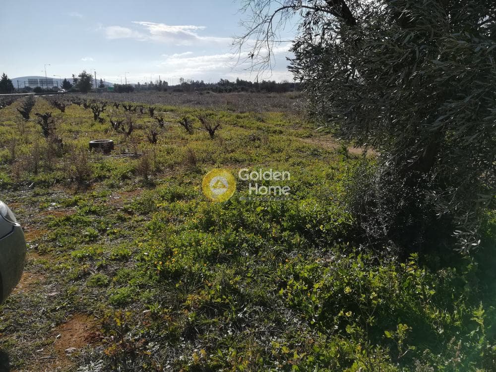 Building Plot in Varis Koropiou Avenue, Koropi — Photo 10 of 10