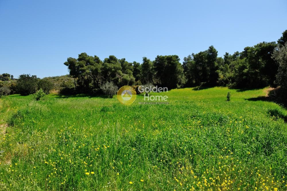 Parcel in Kosta, Spetses — Photo 8 of 26