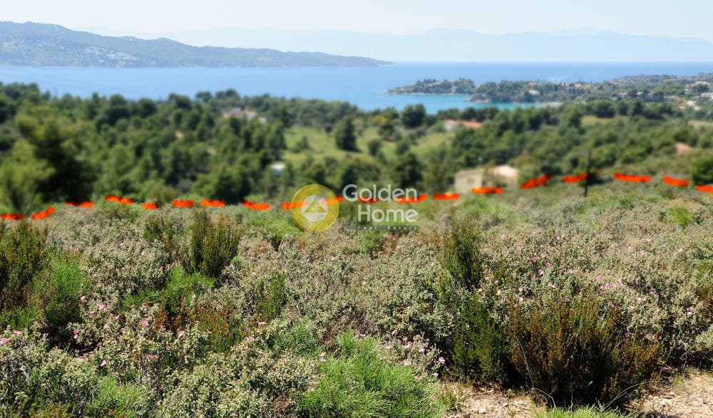 Parcel in Kosta, Spetses — Photo 4 of 26