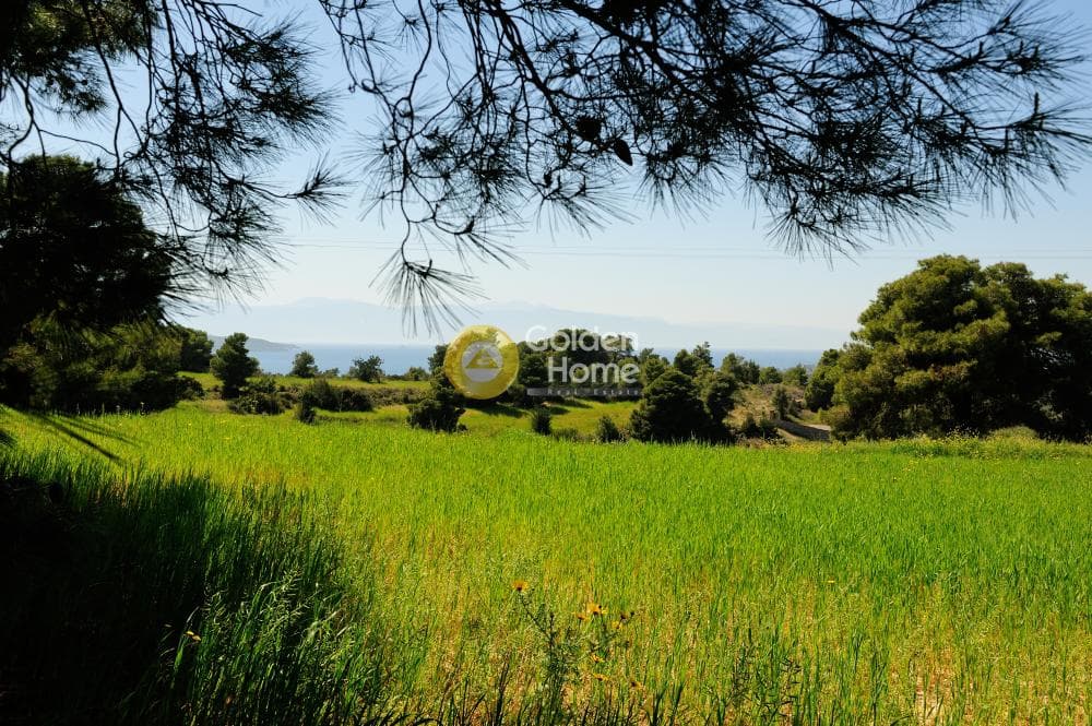 Parcel in Kosta, Spetses — Photo 23 of 26