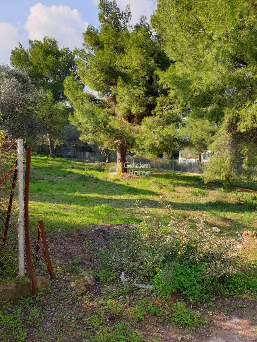 Οικόπεδο στην Ζούμπερι, Νέα Μάκρη — Φωτογραφία 2 από 3