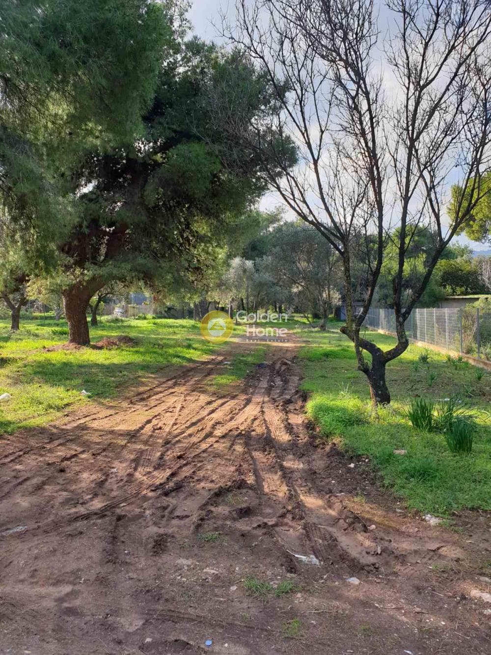 Οικόπεδο στην Ζούμπερι, Νέα Μάκρη — Φωτογραφία 3 από 3