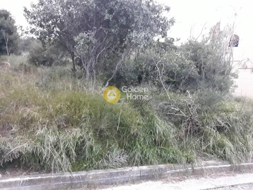 Building Plot in Center, Rafina — Photo 1 of 2