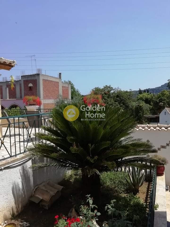 House in Achilleio, Corfu — Photo 25 of 25