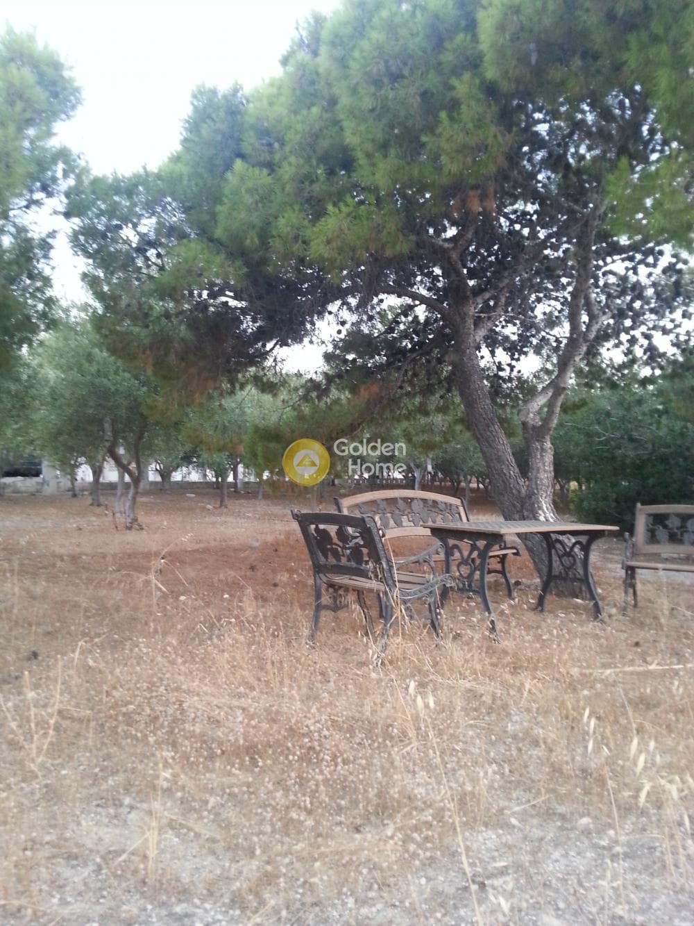 Building Plot in Therma, Aegina — Photo 8 of 33