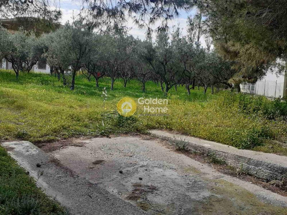 Building Plot in Therma, Aegina — Photo 10 of 33