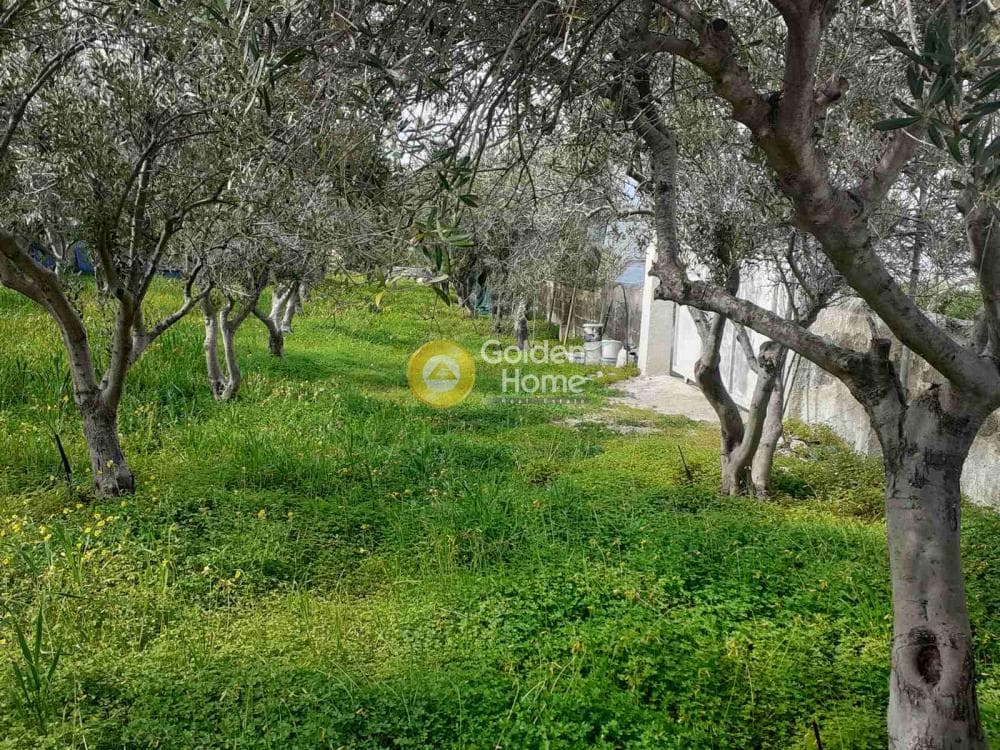 Building Plot in Therma, Aegina — Photo 12 of 33