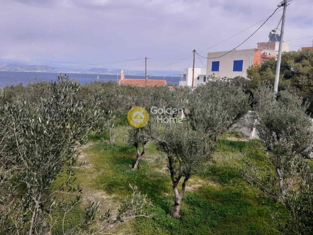 Building Plot in Therma, Aegina — Photo 11 of 33