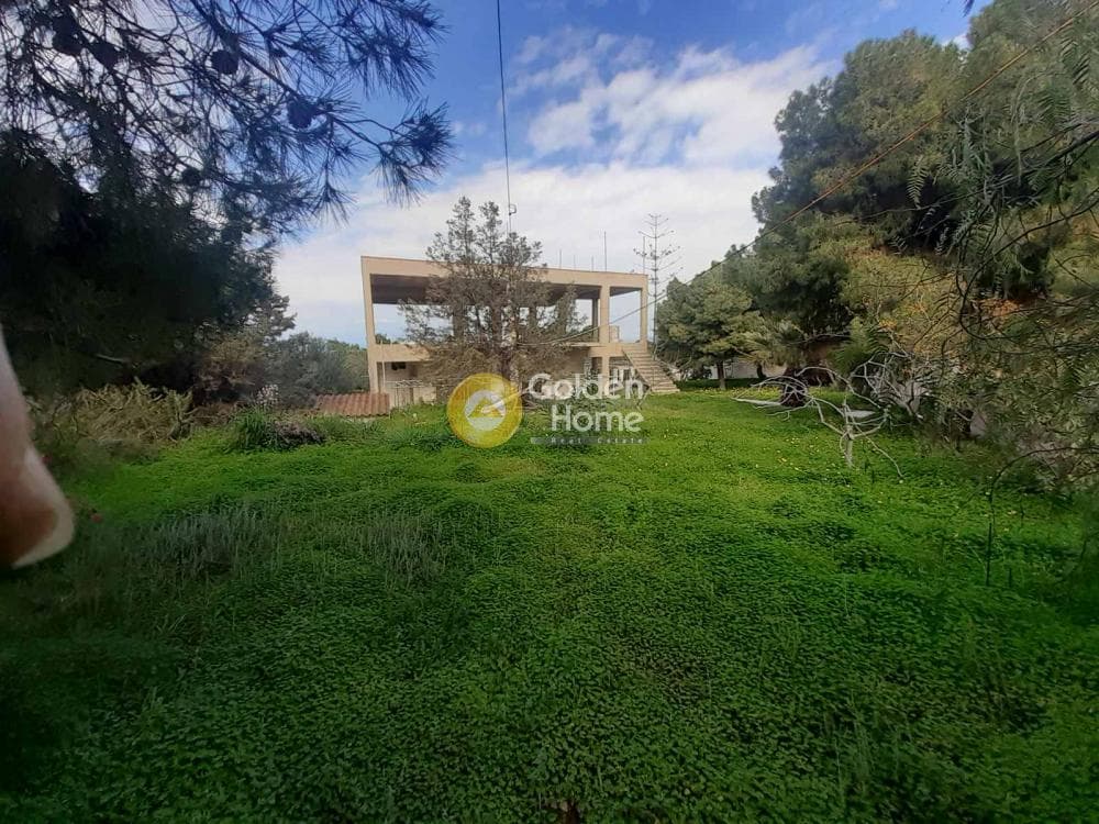 Building Plot in Therma, Aegina — Photo 13 of 33