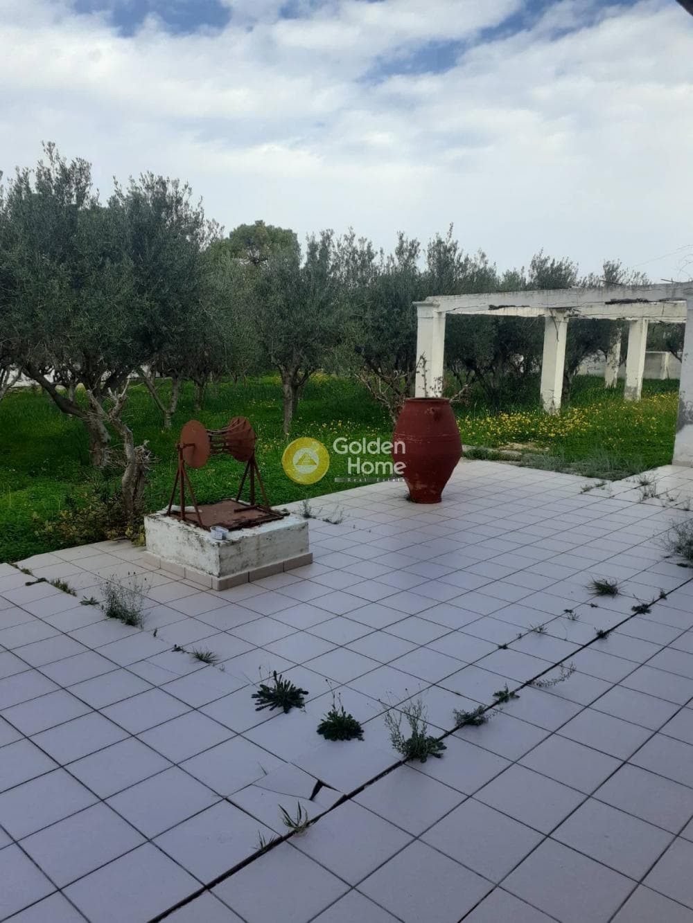 Building Plot in Therma, Aegina — Photo 14 of 33