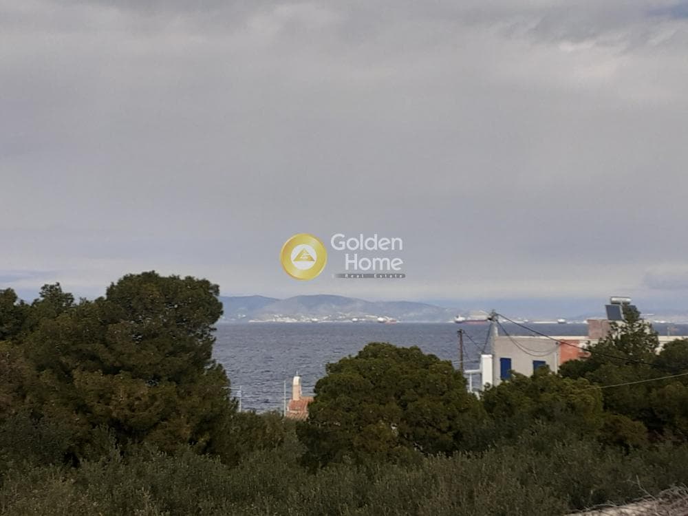 Building Plot in Therma, Aegina — Photo 15 of 33