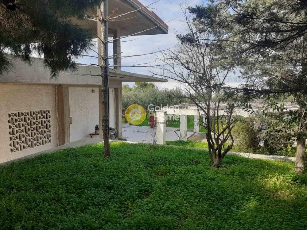 Building Plot in Therma, Aegina — Photo 17 of 33