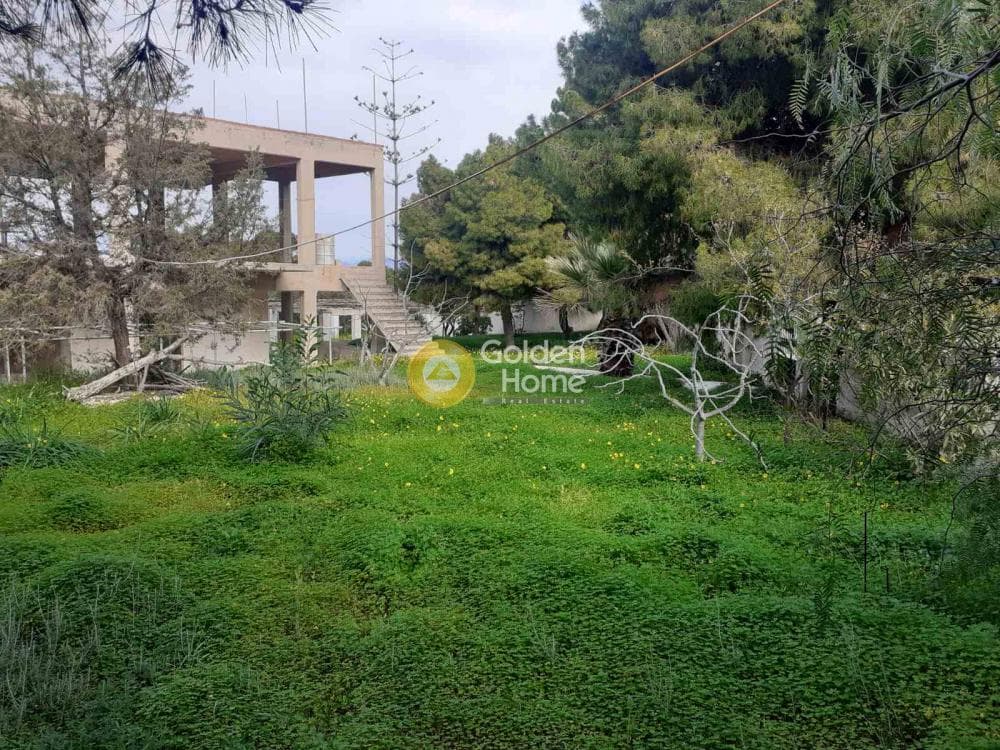 Building Plot in Therma, Aegina — Photo 16 of 33