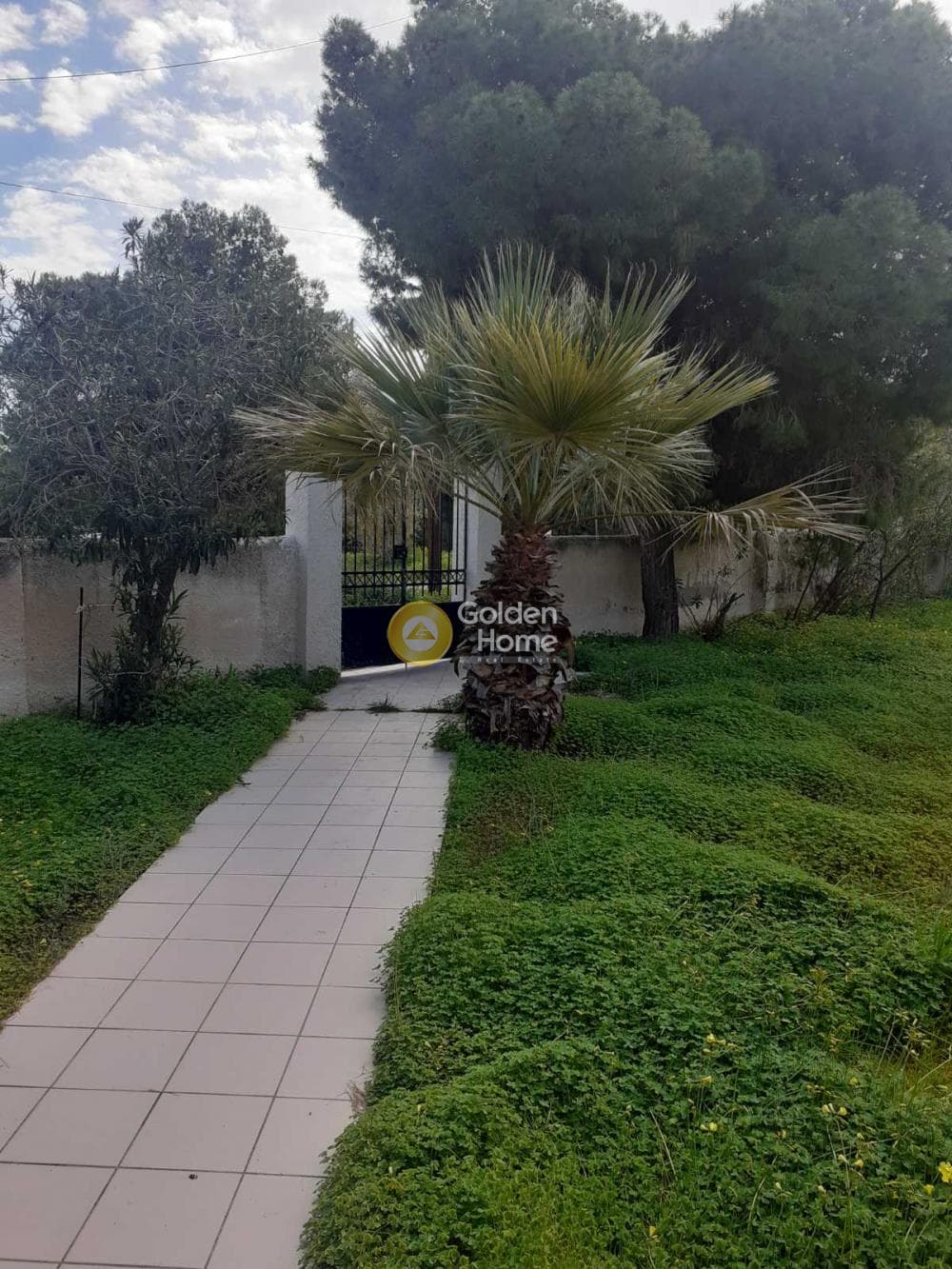 Building Plot in Therma, Aegina — Photo 22 of 33