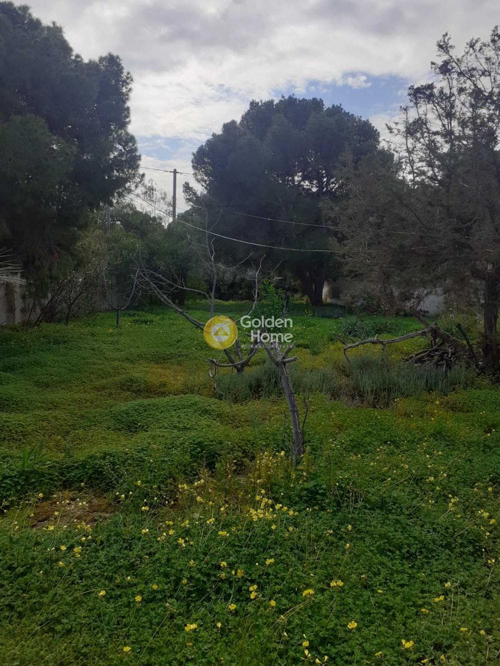 Building Plot in Therma, Aegina — Photo 23 of 33