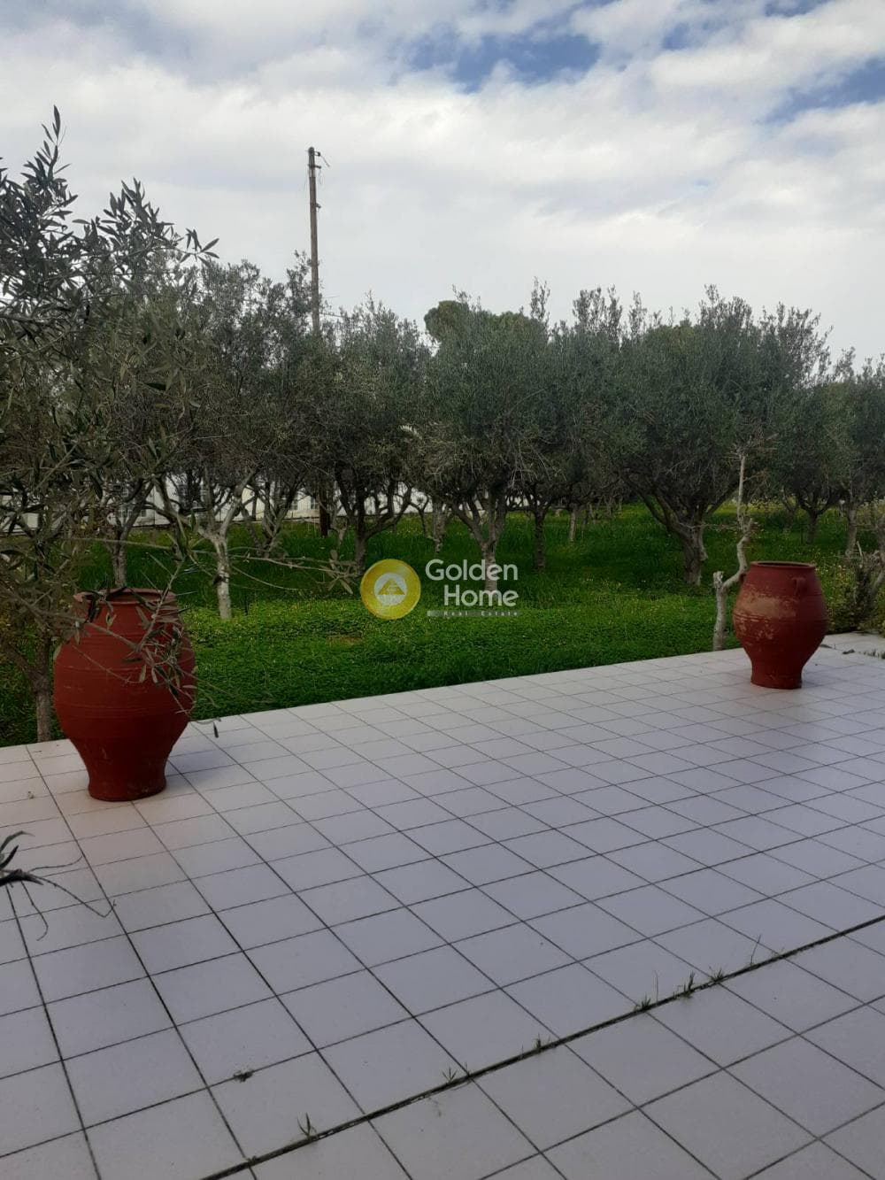Building Plot in Therma, Aegina — Photo 26 of 33
