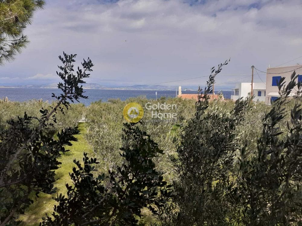 Building Plot in Therma, Aegina — Photo 29 of 33