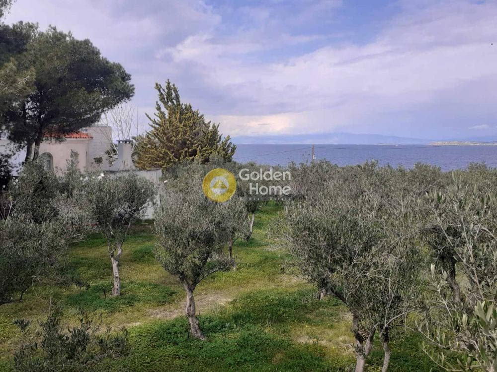 Building Plot in Therma, Aegina — Photo 30 of 33