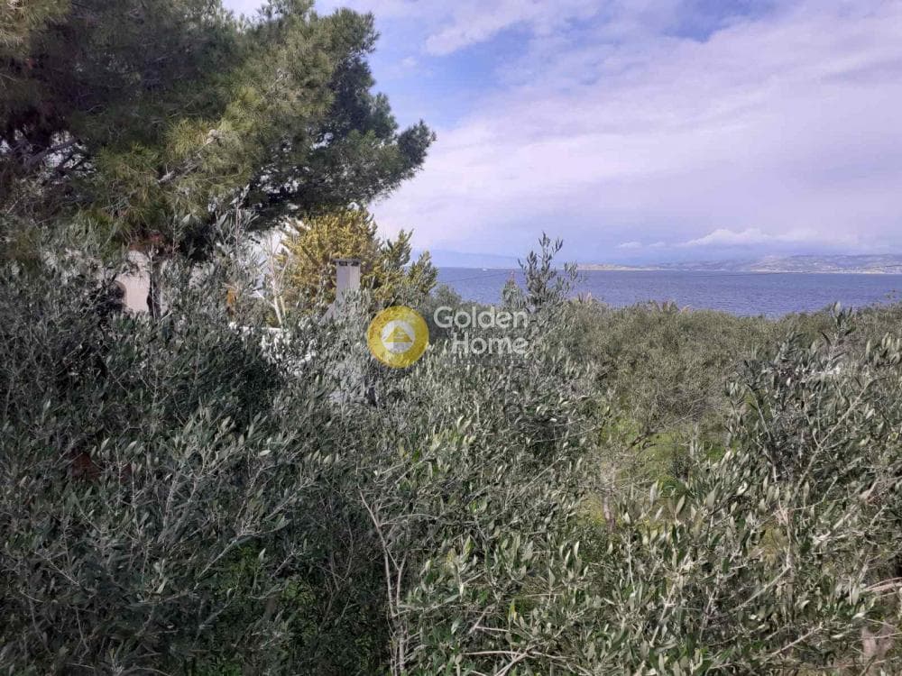 Building Plot in Therma, Aegina — Photo 33 of 33