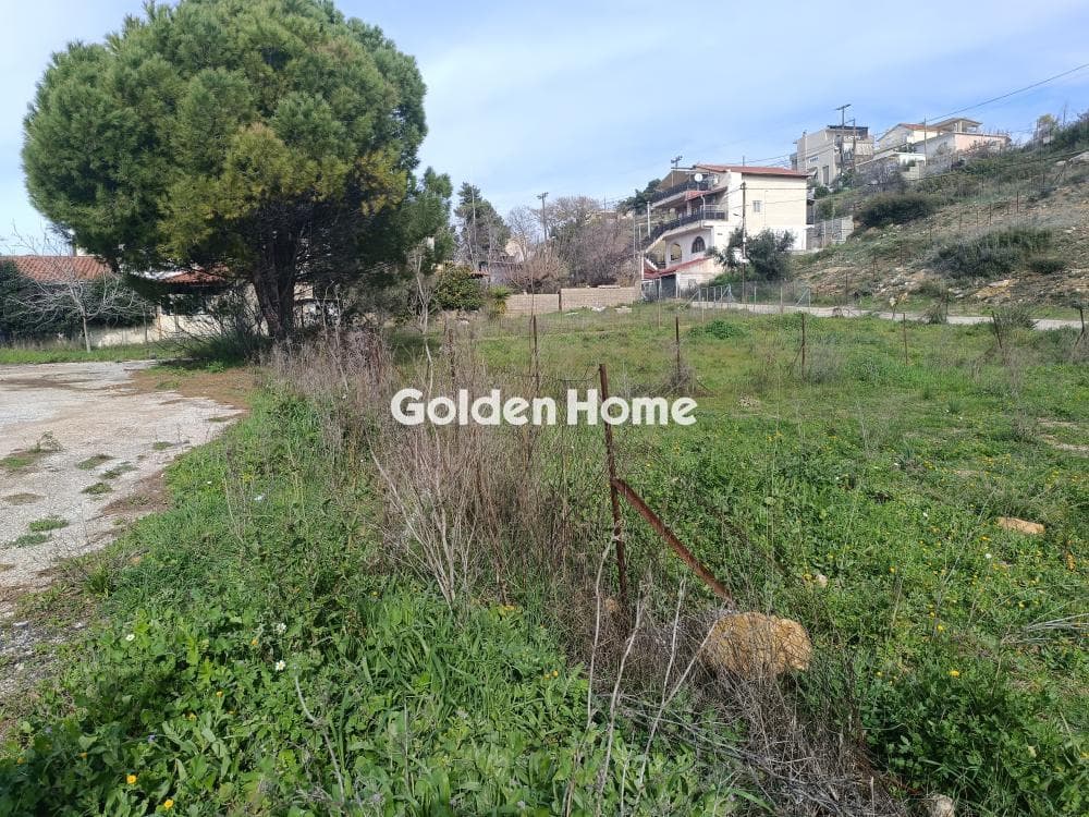 Parcel in Anthousa, Anthoisa — Photo 3 of 6