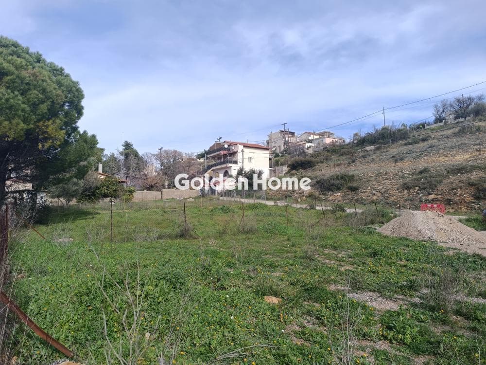 Parcel in Anthousa, Anthoisa — Photo 6 of 6