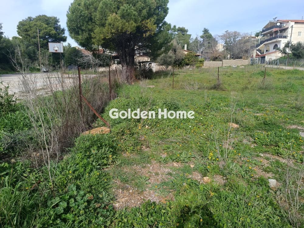 Parcel in Anthousa, Anthoisa — Photo 1 of 6