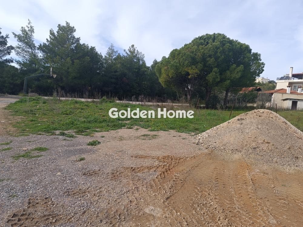 Parcel in Anthousa, Anthoisa — Photo 2 of 6