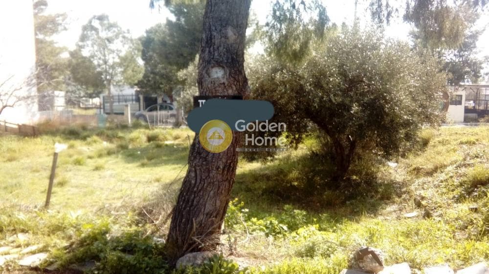 Οικόπεδο στην Κέντρο, Άνω Λιόσια — Φωτογραφία 2 από 2