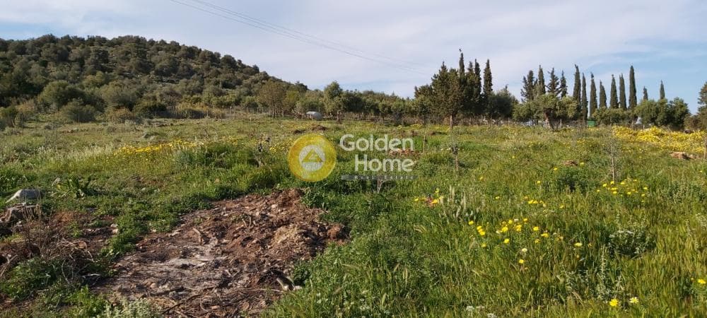 Αγροτεμάχιο στην Άνω Σούλι, Γραμματικό — Φωτογραφία 1 από 14