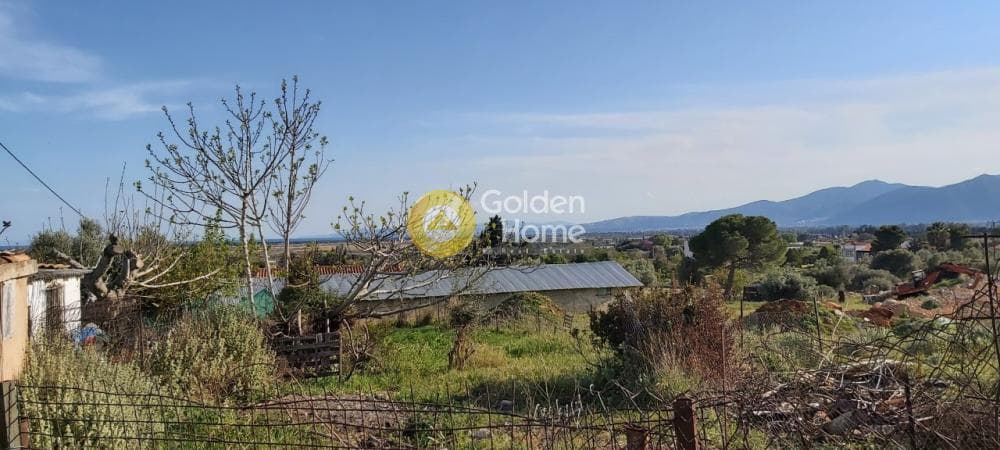 Αγροτεμάχιο στην Άνω Σούλι, Γραμματικό — Φωτογραφία 3 από 14