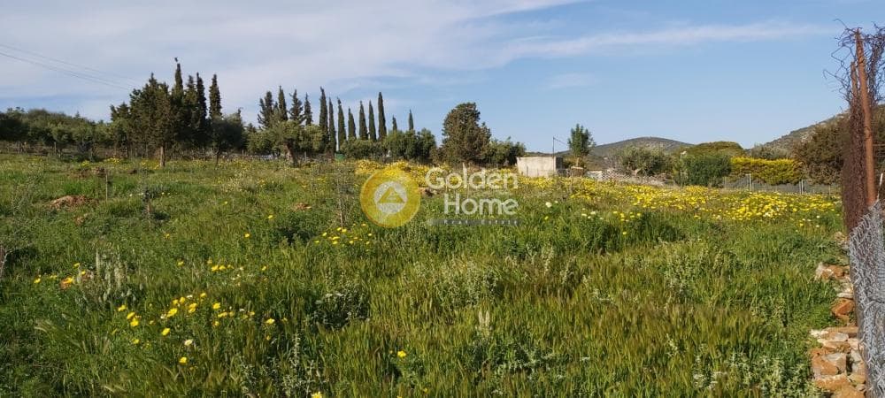 Αγροτεμάχιο στην Άνω Σούλι, Γραμματικό — Φωτογραφία 4 από 14