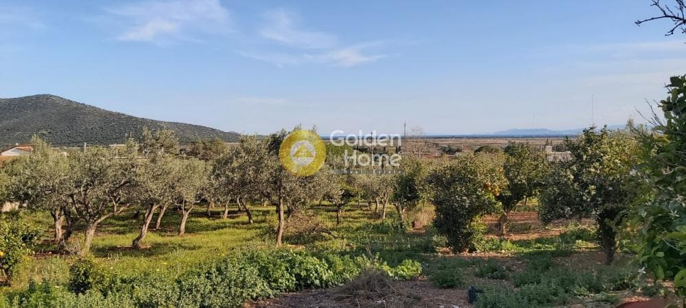 Αγροτεμάχιο στην Άνω Σούλι, Γραμματικό — Φωτογραφία 7 από 14