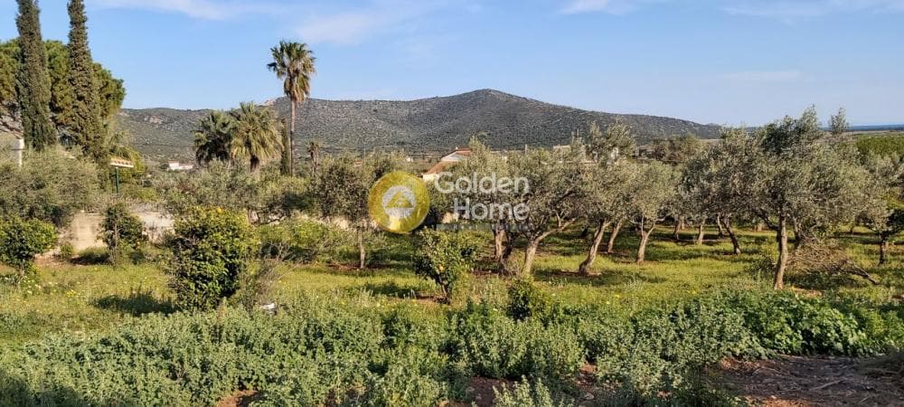 Αγροτεμάχιο στην Άνω Σούλι, Γραμματικό — Φωτογραφία 8 από 14