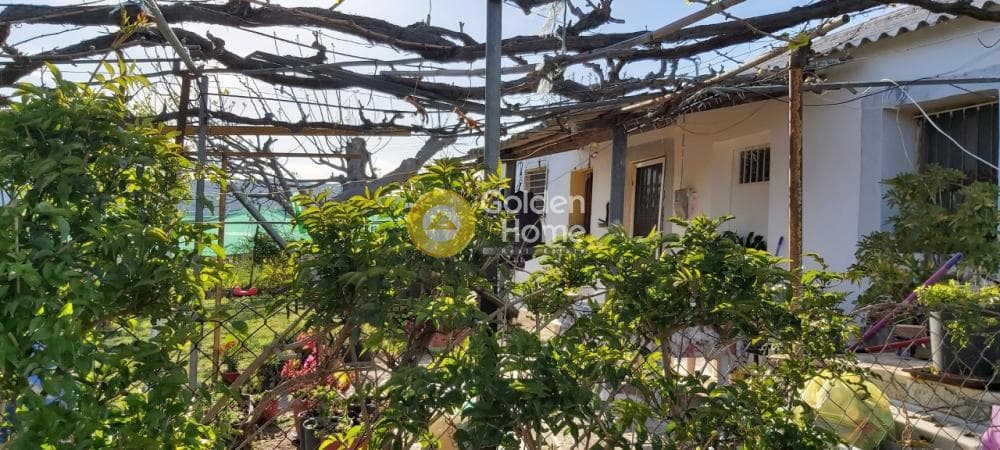Αγροτεμάχιο στην Άνω Σούλι, Γραμματικό — Φωτογραφία 9 από 14
