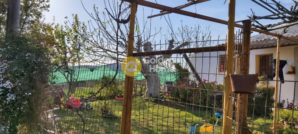 Αγροτεμάχιο στην Άνω Σούλι, Γραμματικό — Φωτογραφία 10 από 14