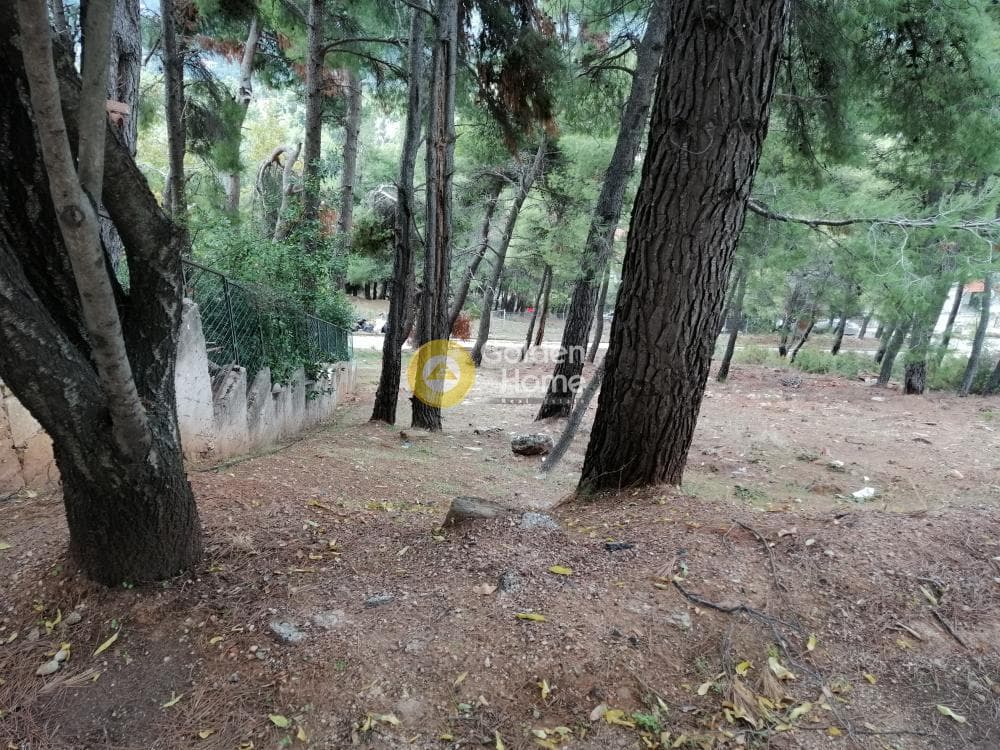 Building Plot in Rodopoli, Rodopoli — Photo 1 of 10
