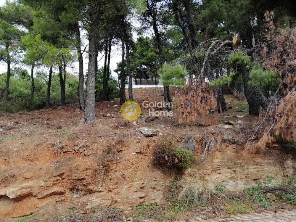 Building Plot in Rodopoli, Rodopoli — Photo 3 of 10