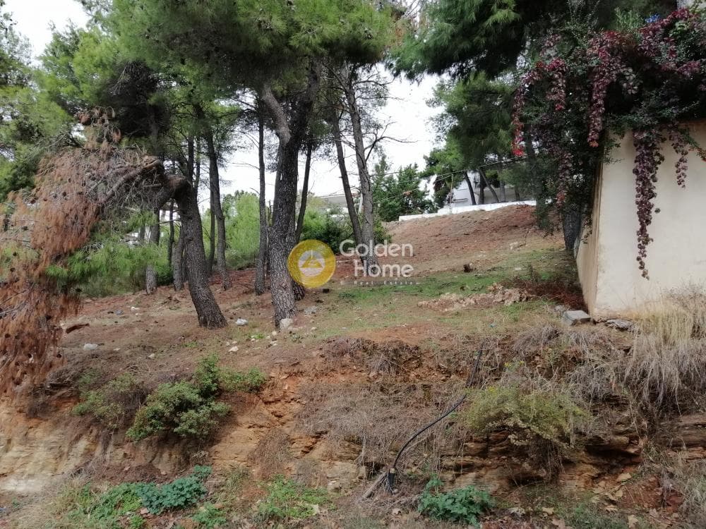 Building Plot in Rodopoli, Rodopoli — Photo 4 of 10