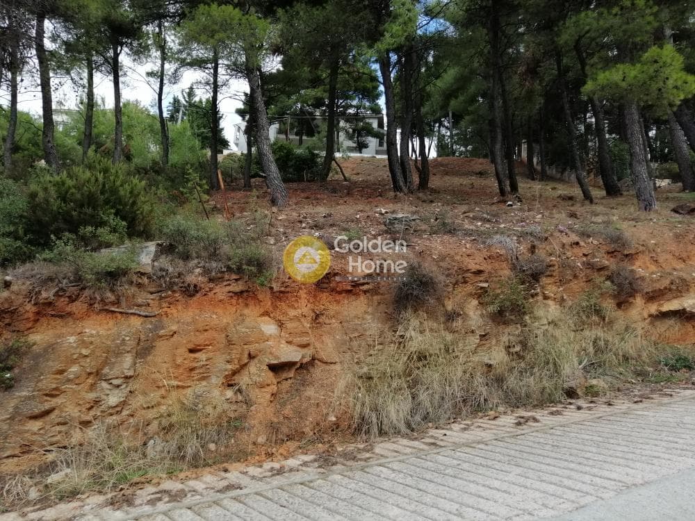 Building Plot in Rodopoli, Rodopoli — Photo 6 of 10