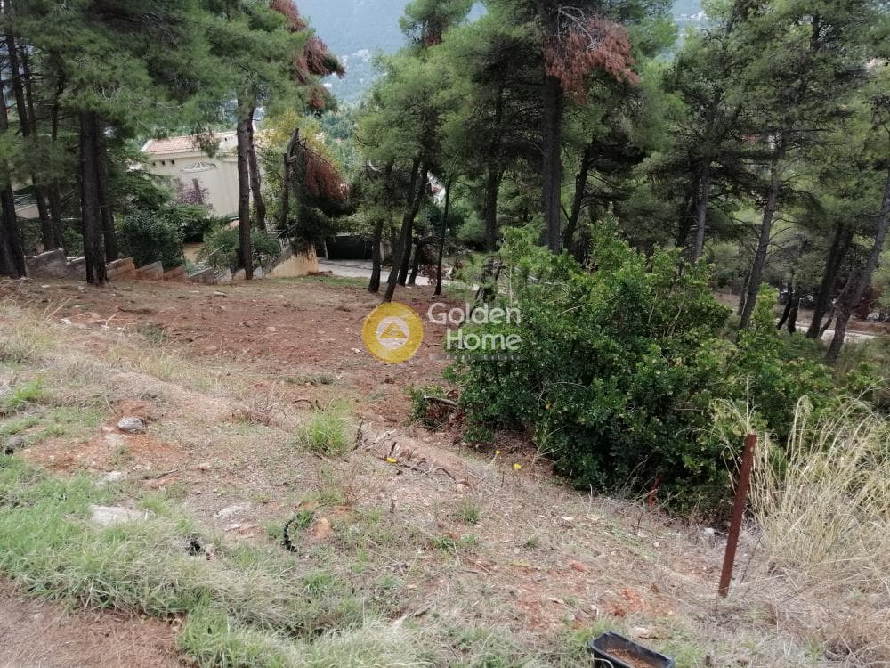 Building Plot in Rodopoli, Rodopoli — Photo 8 of 10