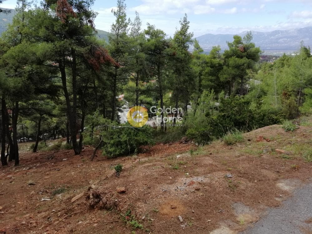 Building Plot in Rodopoli, Rodopoli — Photo 9 of 10