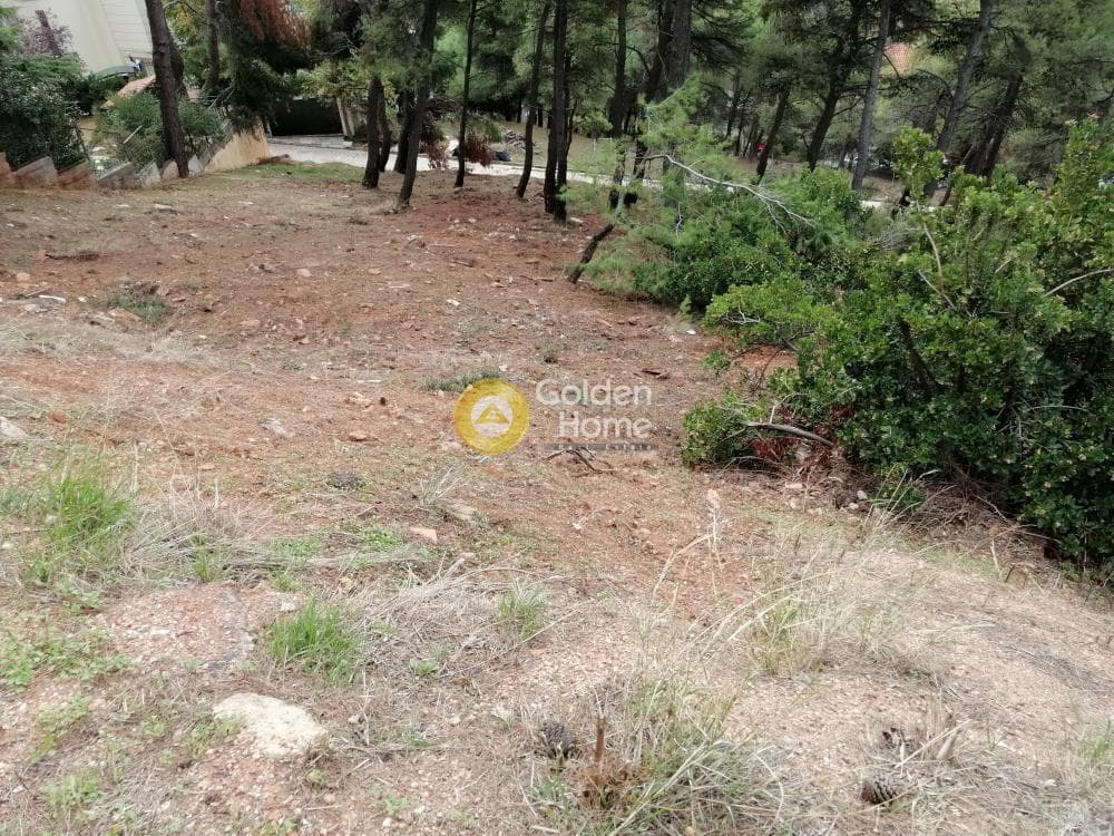Building Plot in Rodopoli, Rodopoli — Photo 10 of 10