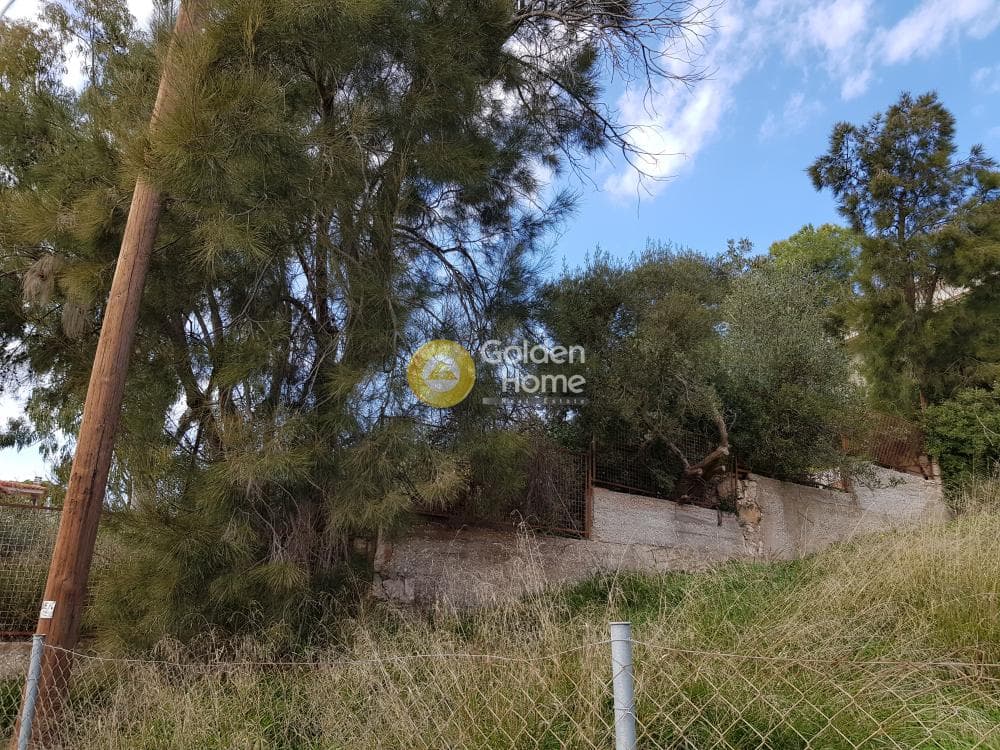 Building Plot in Agia Marina, Koropi — Photo 6 of 10