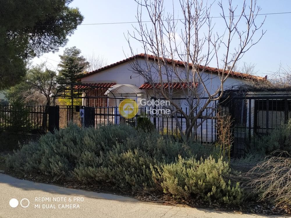 Οικόπεδο στην Αδάμες (Οικισμός Γράμμος - Φοίνικας), Κηφισιά — Φωτογραφία 7 από 11