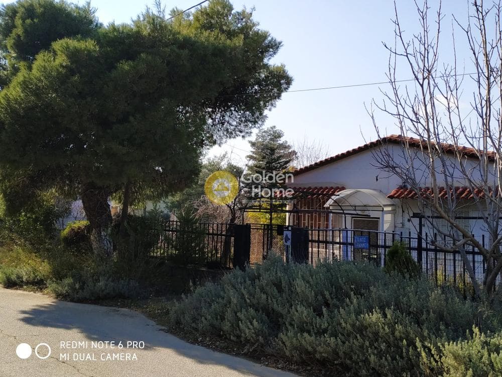 Οικόπεδο στην Αδάμες (Οικισμός Γράμμος - Φοίνικας), Κηφισιά — Φωτογραφία 10 από 11