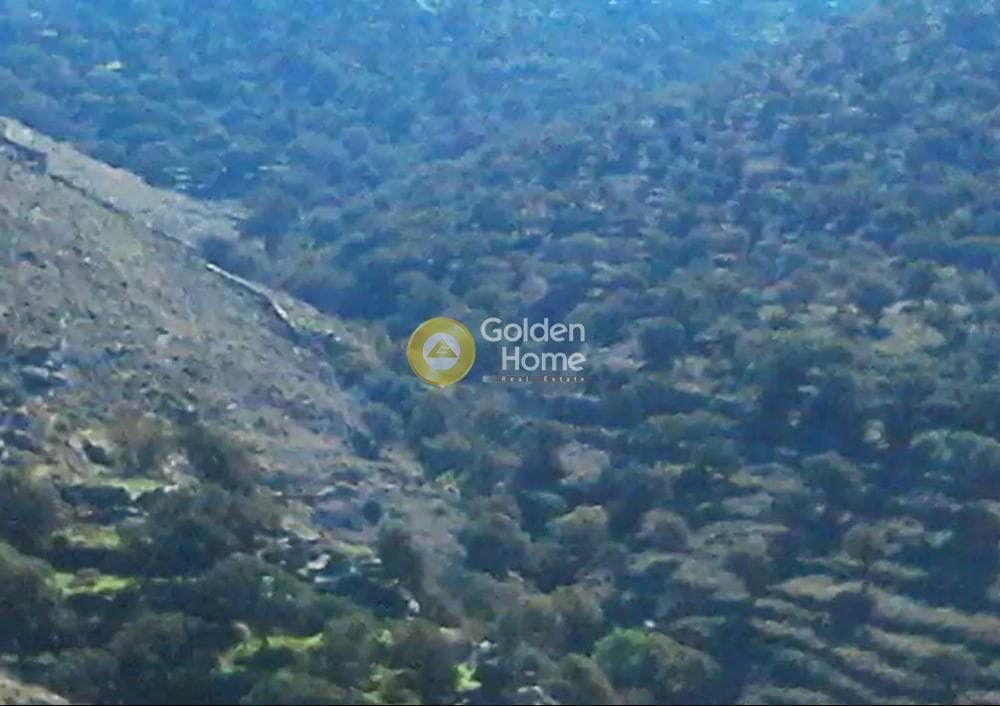 Αγροτεμάχιο στην Οτζιάς, Κέα — Φωτογραφία 3 από 4